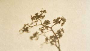 Soft daylight casting the shadow of a flowering branch across a warm bone plaster wall.