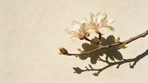 Magnolia blossoms and pale linen in soft natural light for an Eclore Journal article about Beaverton skin prep