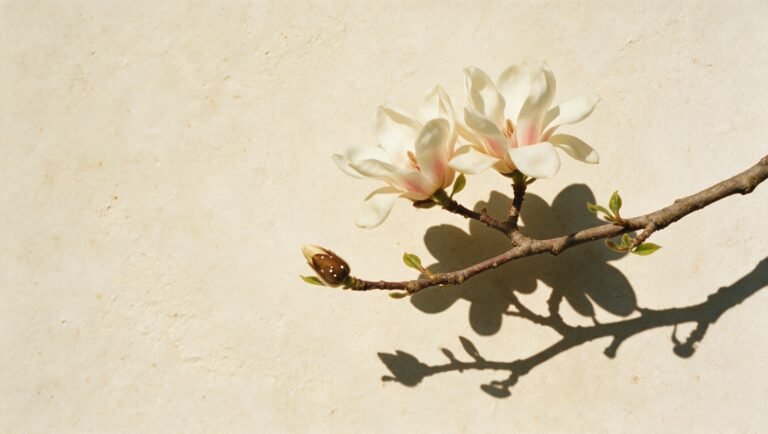Magnolia blossoms and pale linen in soft natural light for an Eclore Journal article about Beaverton skin prep